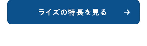 ライズの特長を見る