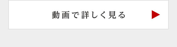動画で詳しく見る