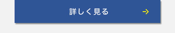 詳しく見る